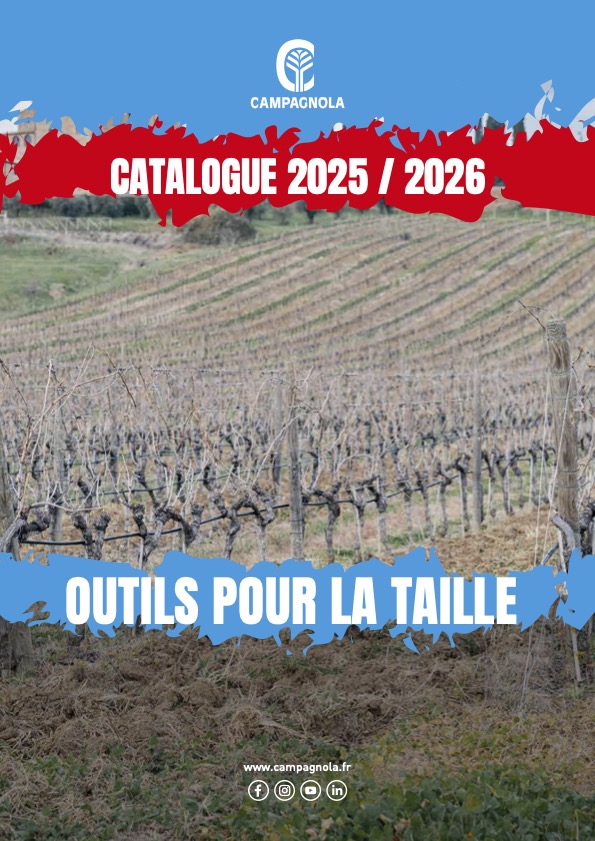 Catalogue de taille